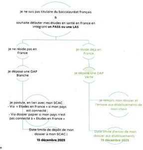 Logigramme de la procédure DAP